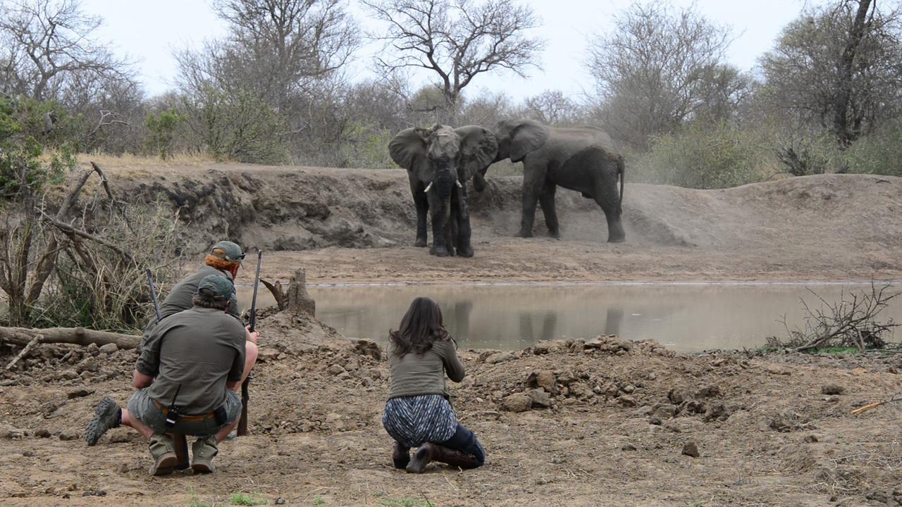 فيلا Africa On Foot محمية كلاسيري الطبيعية الخاصة المظهر الخارجي الصورة